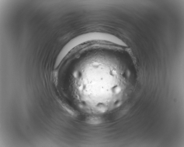 X0000081610189200701291437