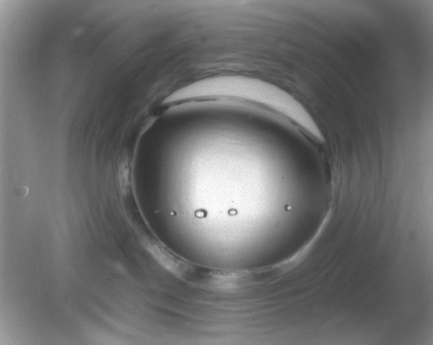 X0000081610190200701291437