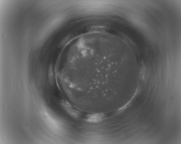 X0000081610191200701291437