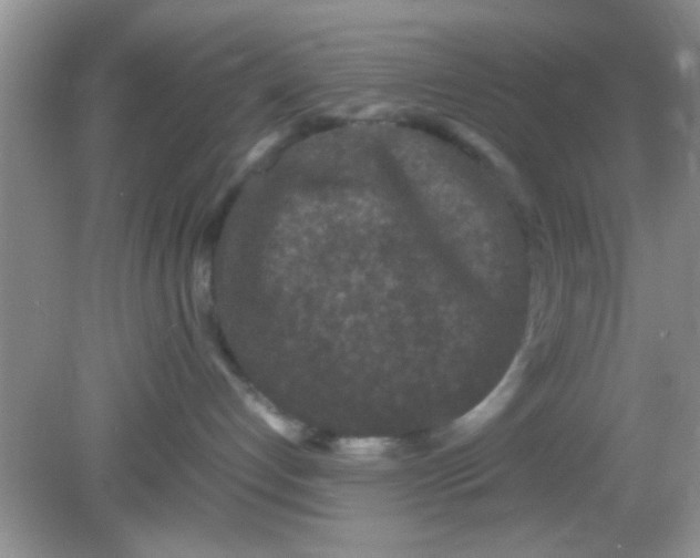 X0000081610192200701291437