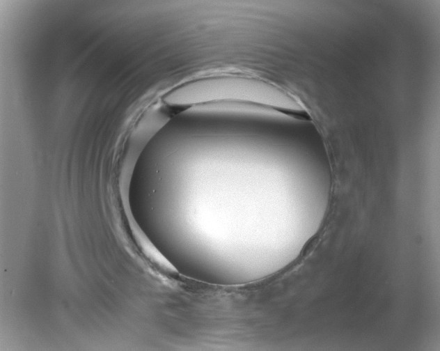 X0000081610193200701291436