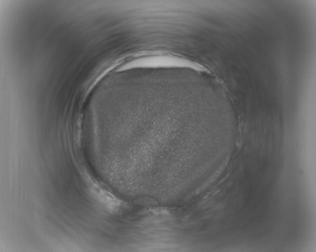 X0000081610194200701291436