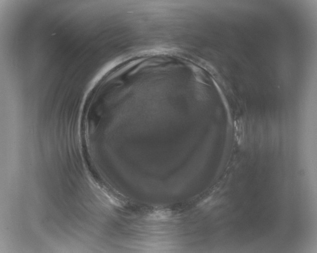 X0000081610196200701291436