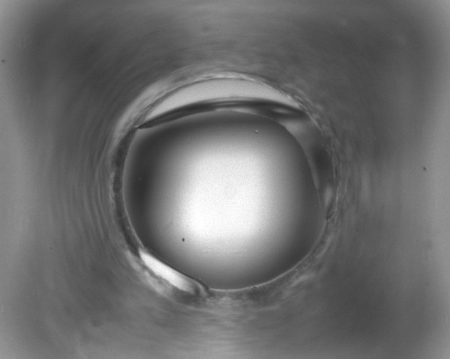 X0000081610197200701291436