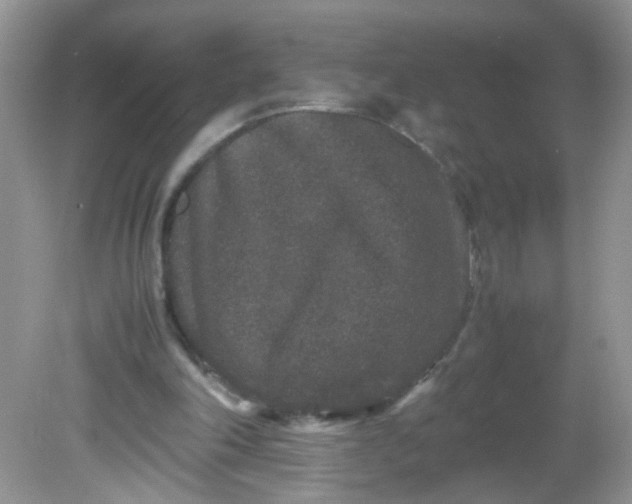 X0000081610198200701291436