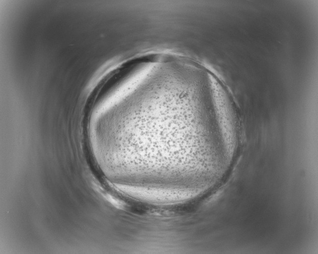 X0000081610199200701291436