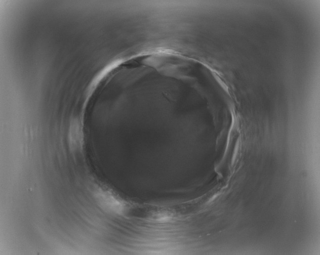 X0000081610200200701291436