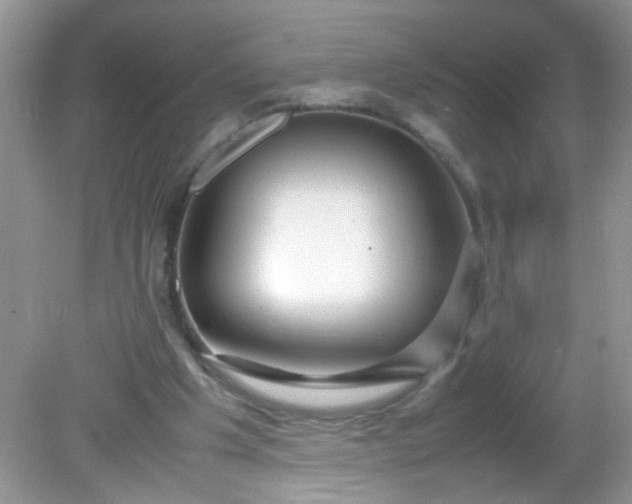 X0000081610201200701291436