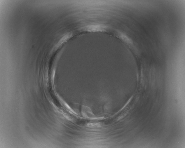 X0000081610202200701291436