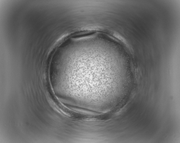 X0000081610203200701291436