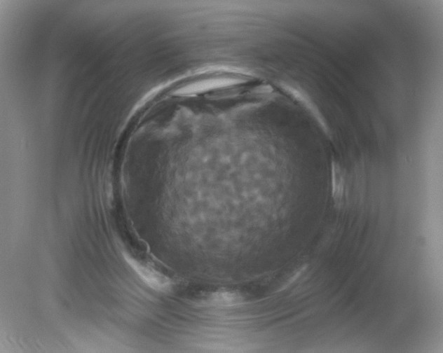 X0000081610204200701291436