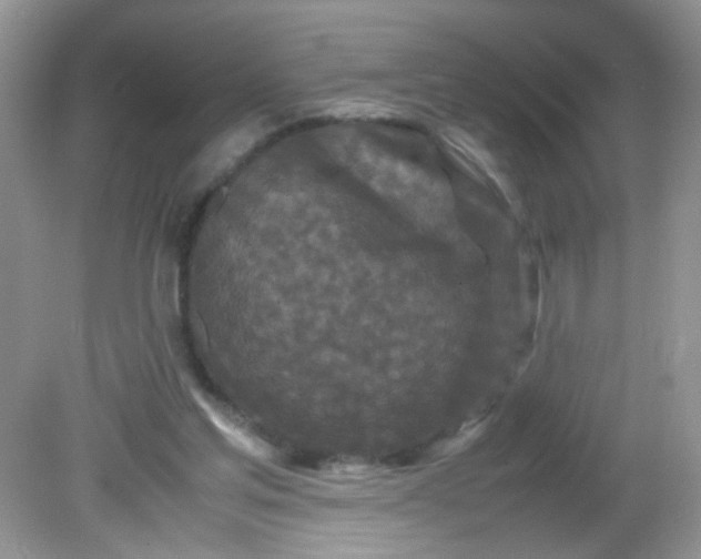 X0000081610205200701291436