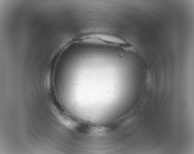 X0000081610206200701291436