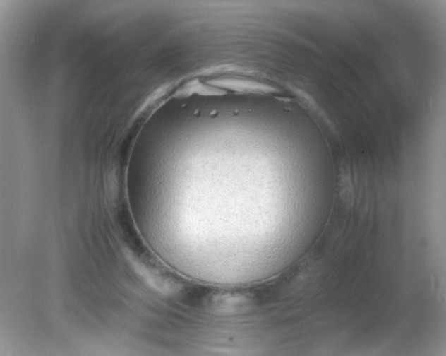 X0000081610208200701291436