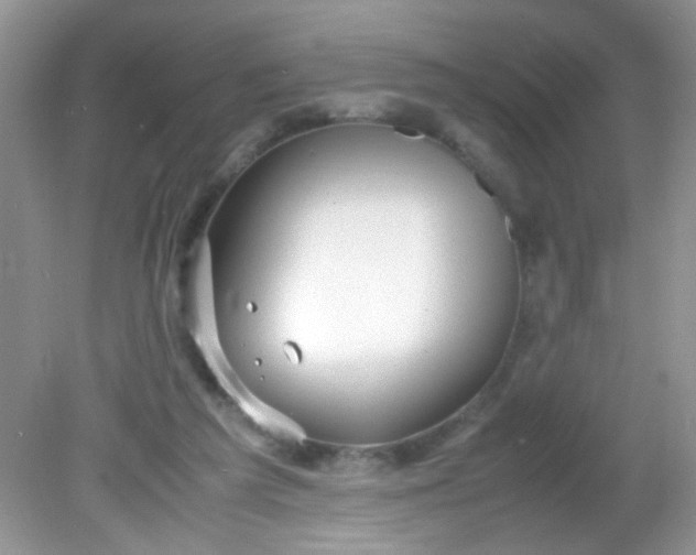 X0000081610209200701291435