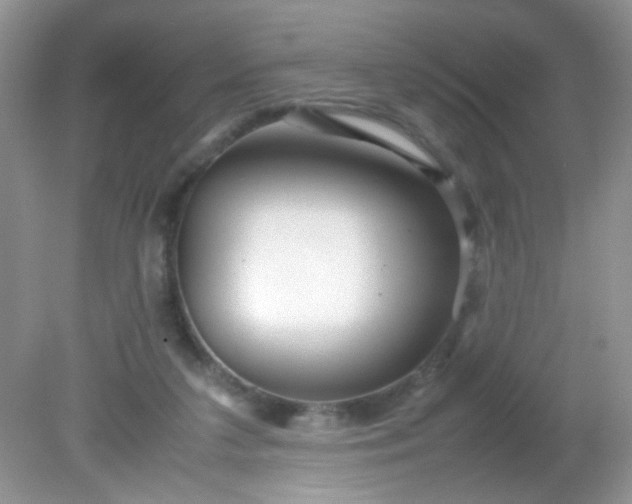 X0000081610211200701291435