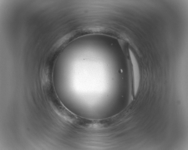 X0000081610212200701291435