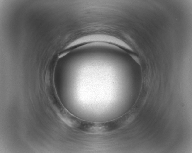 X0000081610213200701291435