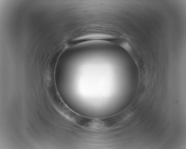 X0000081610215200701291435