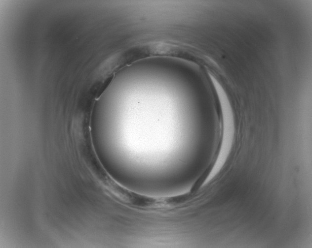 X0000081610217200701291435