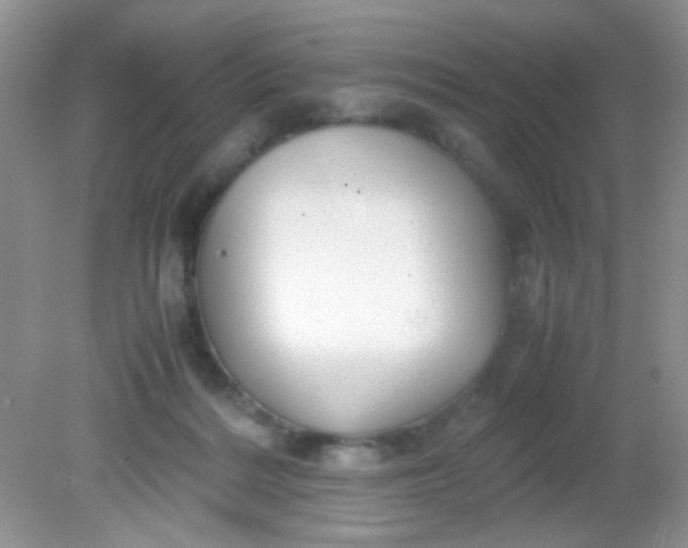 X0000081610220200701291435