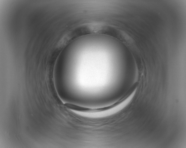 X0000081610221200701291435