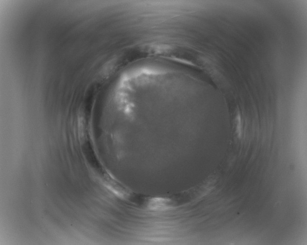 X0000081610222200701291435