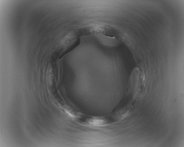 X0000081610223200701291435