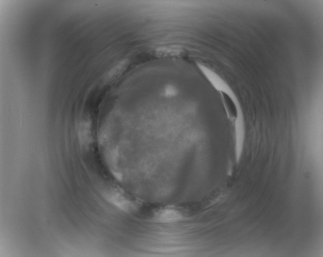 X0000081610224200701291435