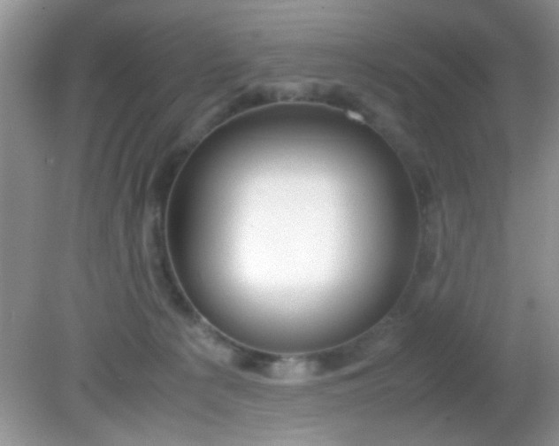 X0000081610225200701291435