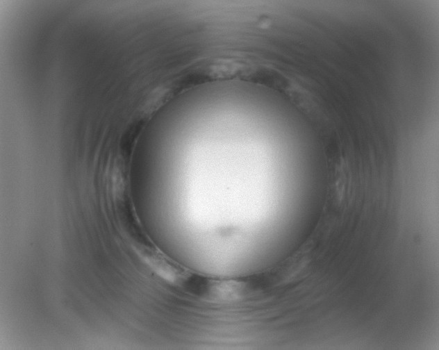 X0000081610226200701291435