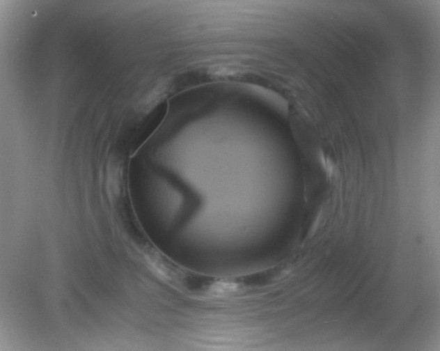 X0000081610227200701291435