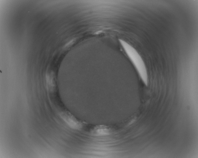 X0000081610228200701291435