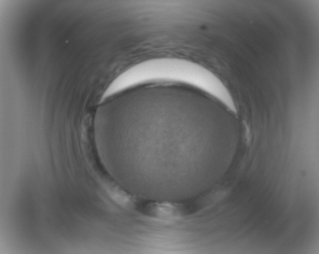 X0000081610229200701291435