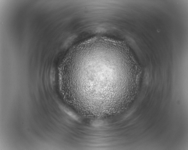 X0000081610230200701291435