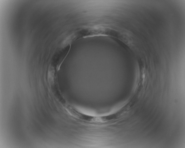 X0000081610231200701291435