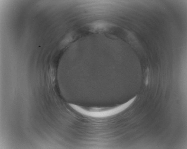 X0000081610232200701291435