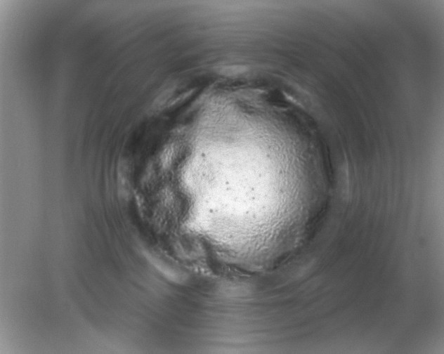 X0000081610234200701291435