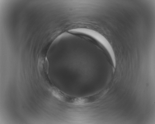 X0000081610235200701291435