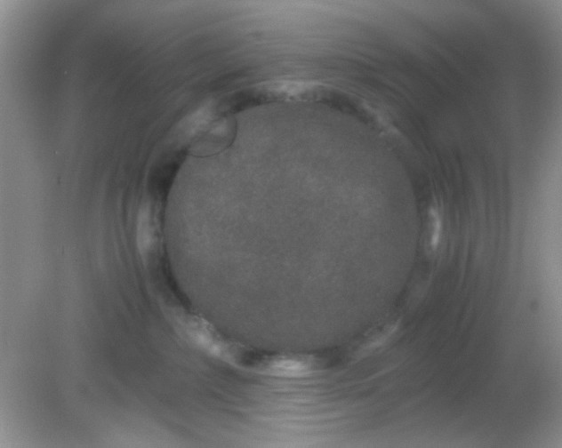 X0000081610236200701291435