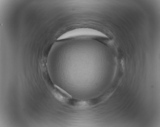 X0000081610237200701291435