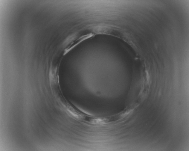 X0000081610239200701291435