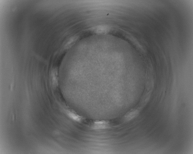 X0000081610240200701291435