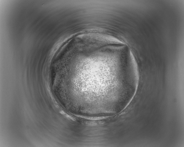 X0000081610241200701291434