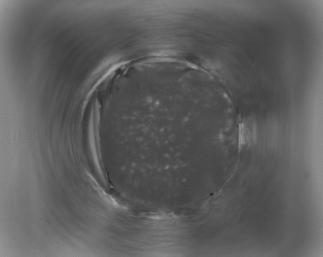 X0000081610243200701291434