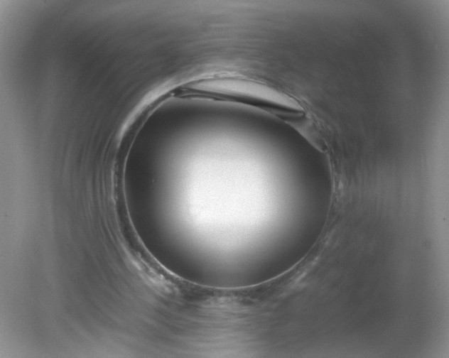 X0000081610244200701291434