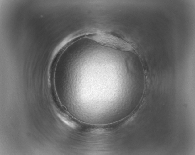 X0000081610246200701291434