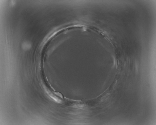 X0000081610247200701291434