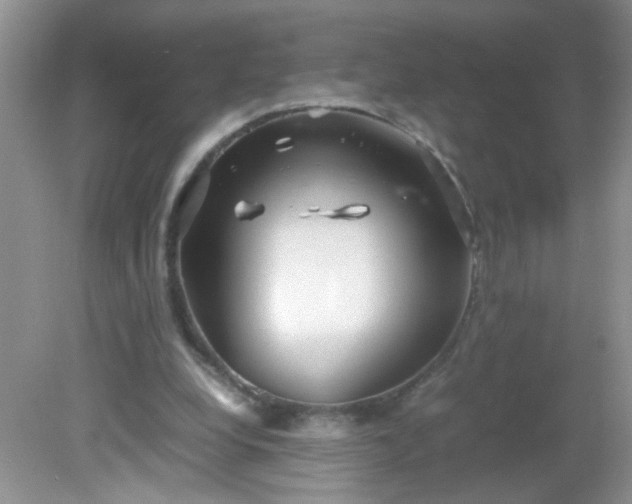 X0000081610248200701291434