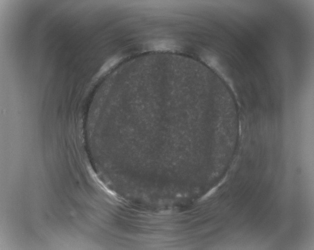 X0000081610249200701291434